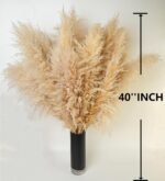 10 PCS 40" Tall Pampas Grass Stems in Natural Beige - Image 2