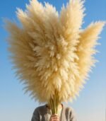 10 PCS 40" Tall Pampas Grass Stems in Natural Beige - Image 3