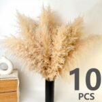 10 PCS 40" Tall Pampas Grass Stems in Natural Beige - Image 4