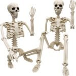 2 Pack 36"Halloween Skeleton - 3 ft Life Size