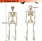 2 Pack 36"Halloween Skeleton - 3 ft Life Size - Image 3