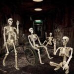 2 Pack 36"Halloween Skeleton - 3 ft Life Size - Image 5
